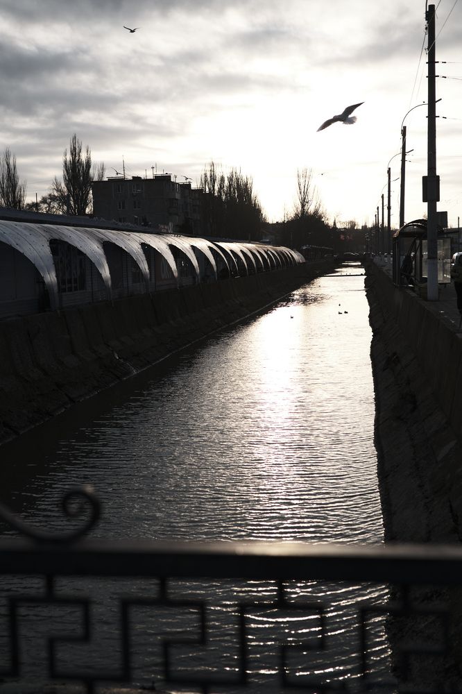 Photograph by Михаил Нестеренко