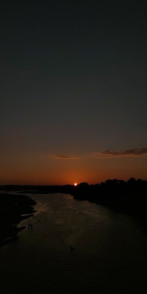 Photo #8795095