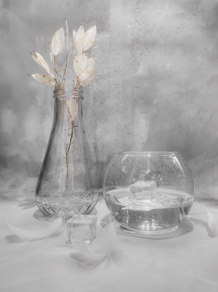 Фотография автора Марина Алексеевская