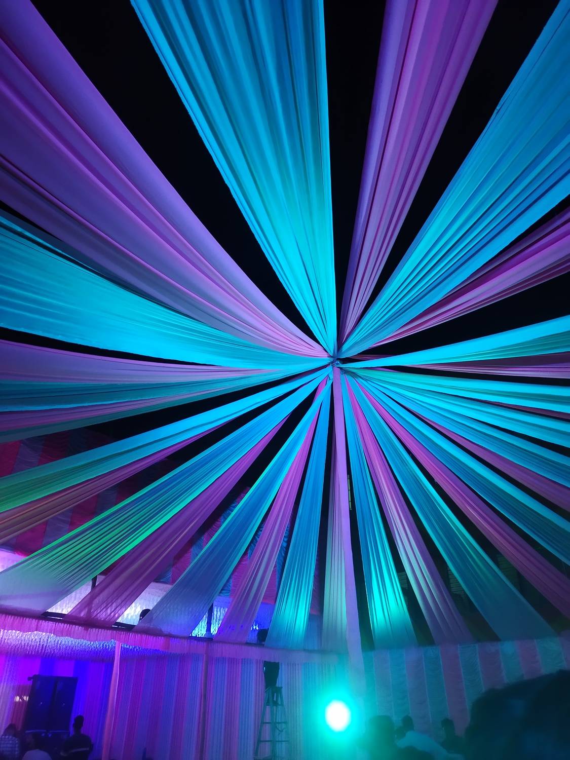 Photo #8795102