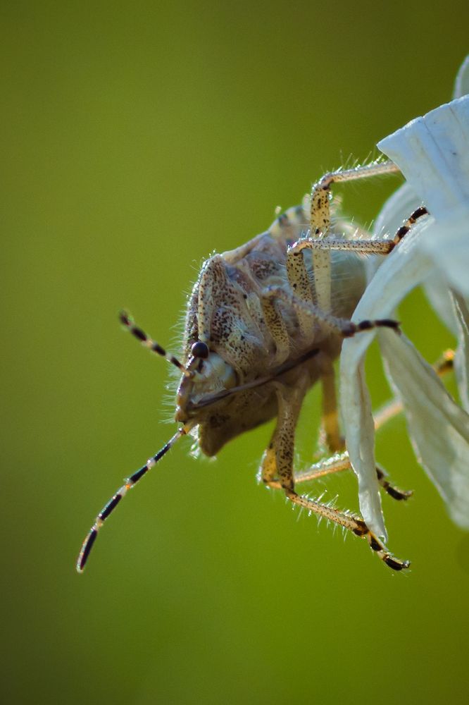 Фотография автора Aleksandr Kadyshev