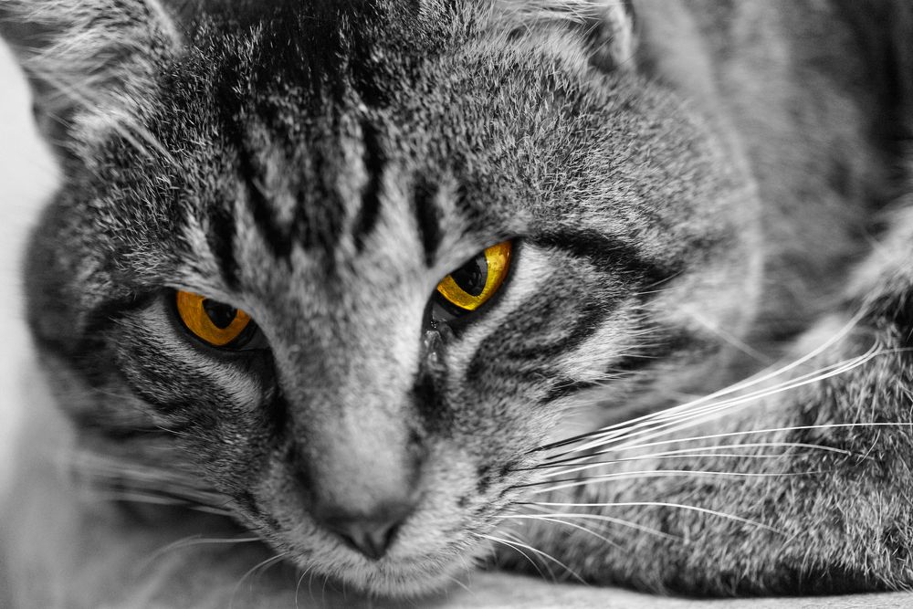 Photograph by Сергей Солобчук