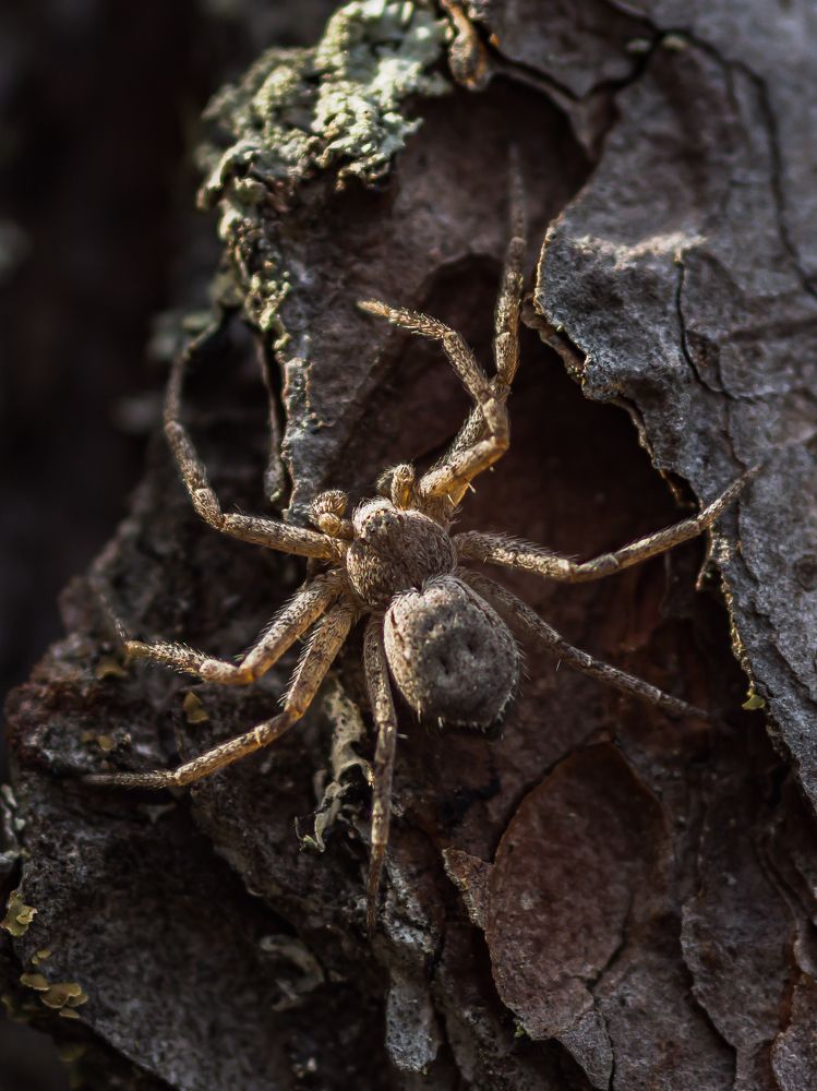 Фотография автора Aleksandr Kadyshev