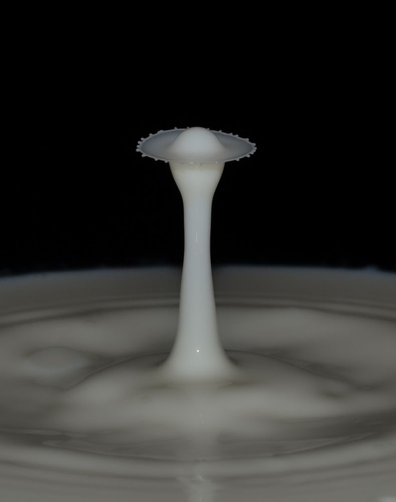 Photograph by Сергей Солобчук