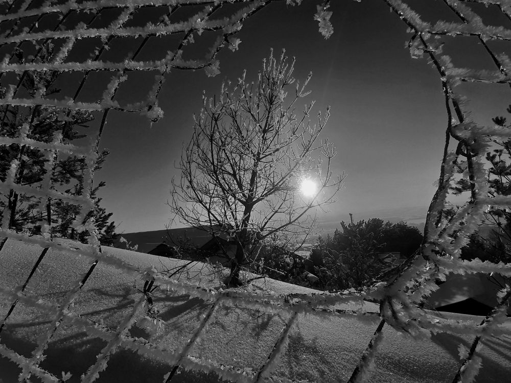 Фотография автора Владимир