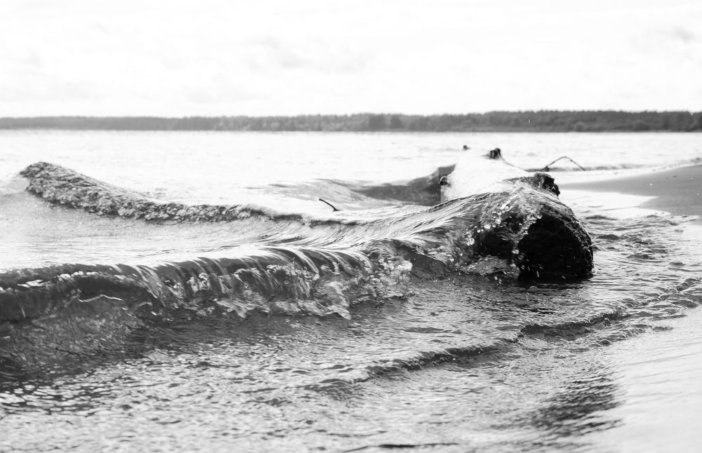 Photograph by Mila Vshivkova