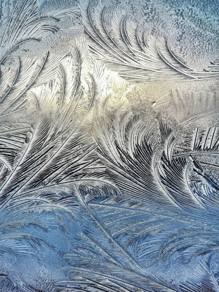 Photograph by Владимир Крылов