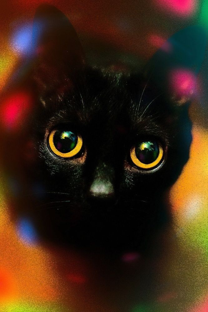 Photograph by Егор Ставер