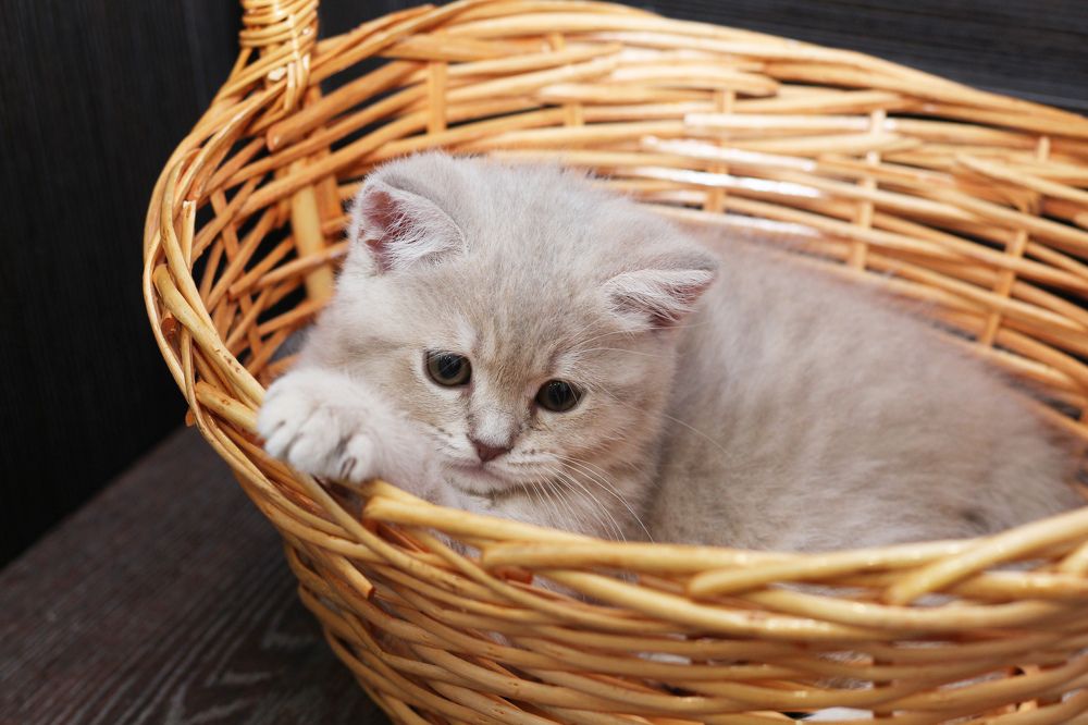 Photograph by Екатерина