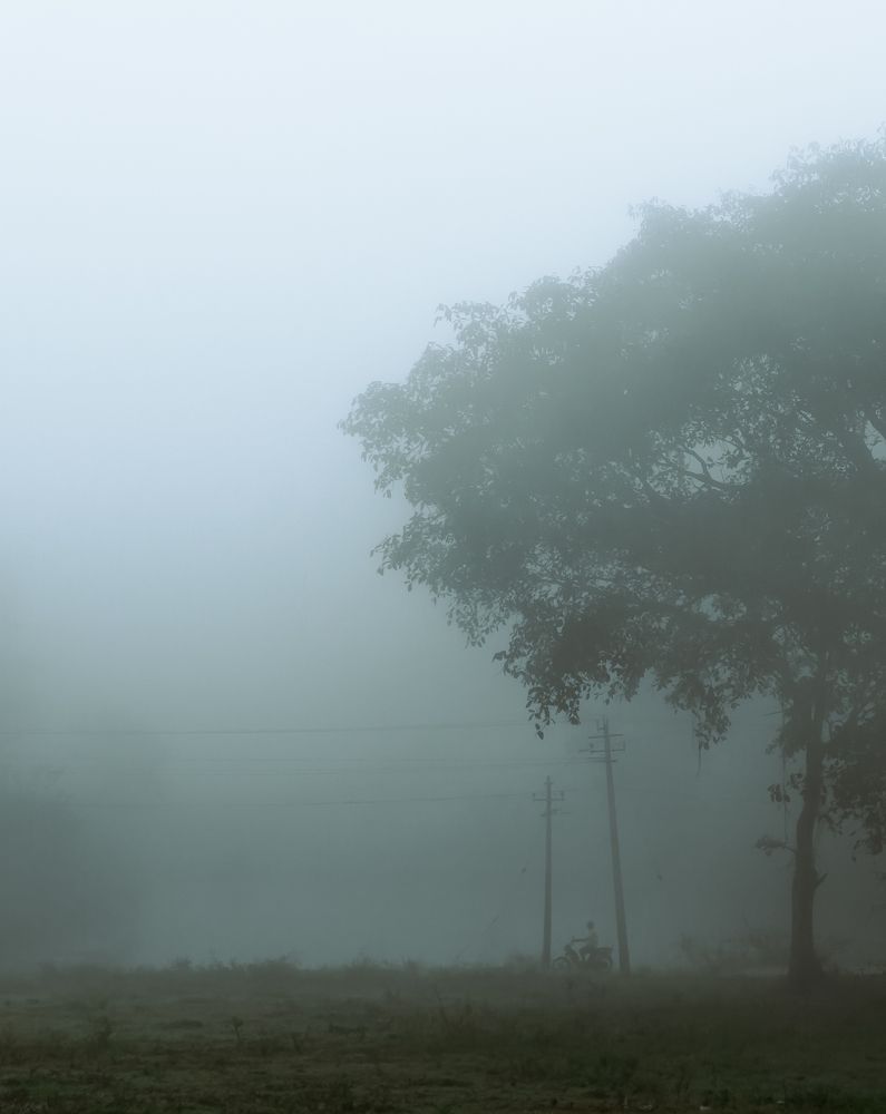 Photograph by Salman Nazeer