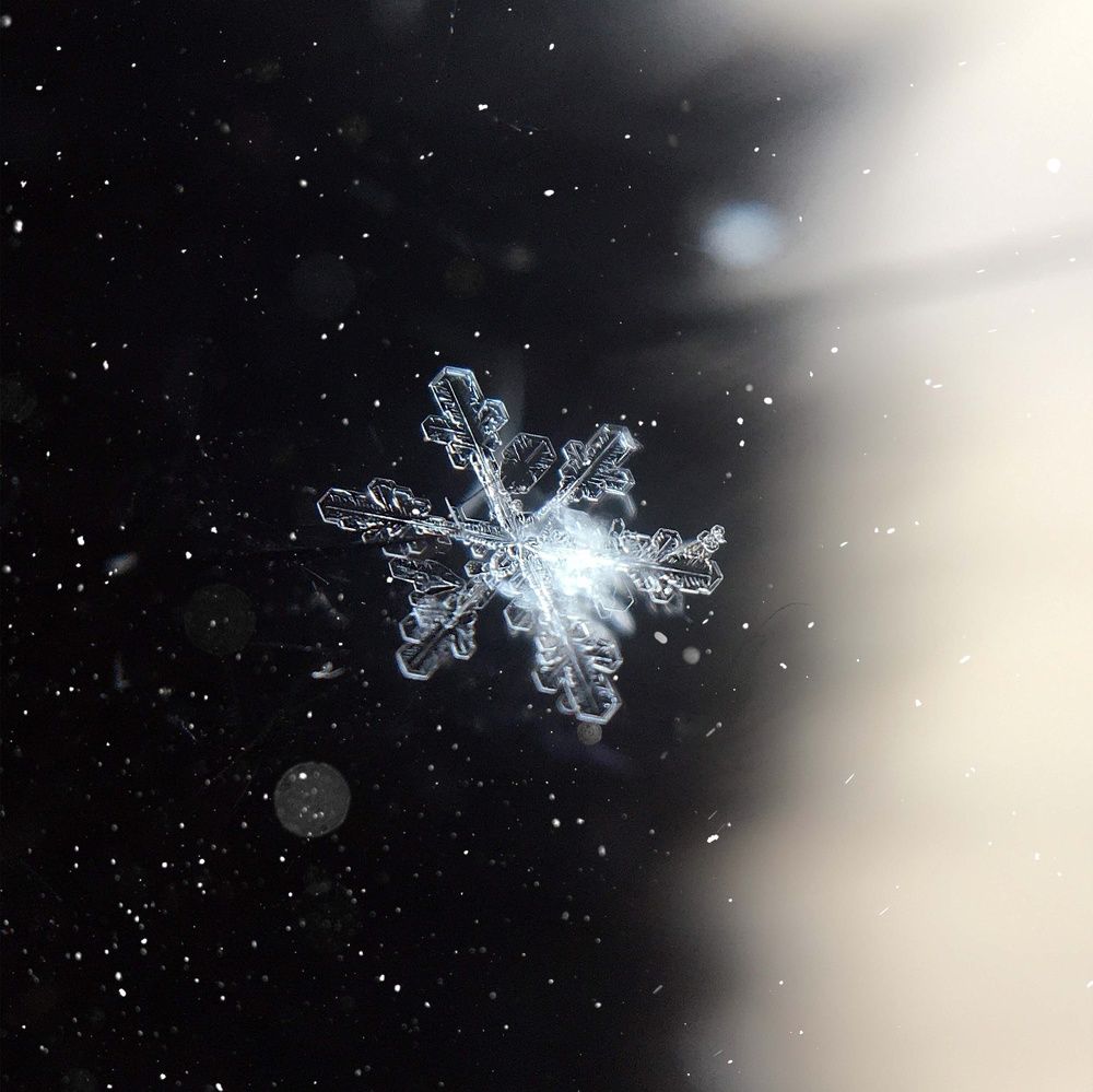 Photograph by Татьяна Галаева