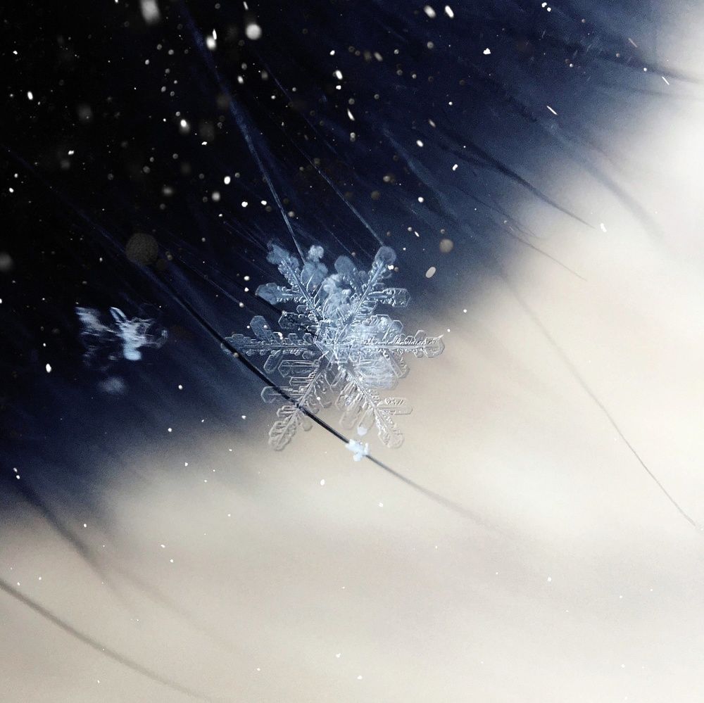 Photograph by Татьяна Галаева