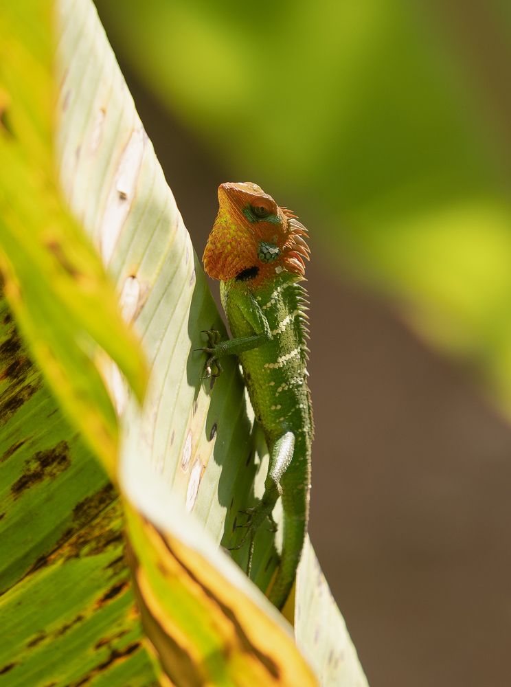 Photograph by Овчинникова Наталья