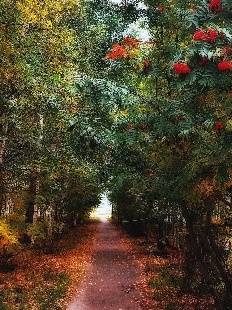 Photograph by Янтарная Елена