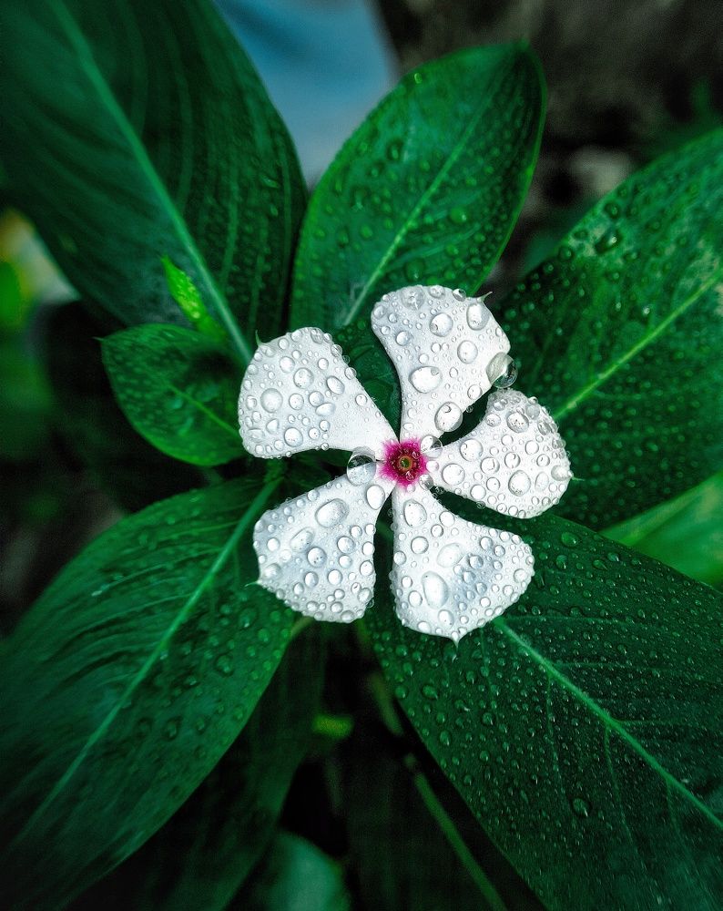 Photograph by ALI SAJID