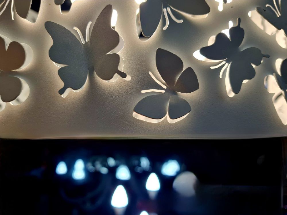 Самба белого мотылька