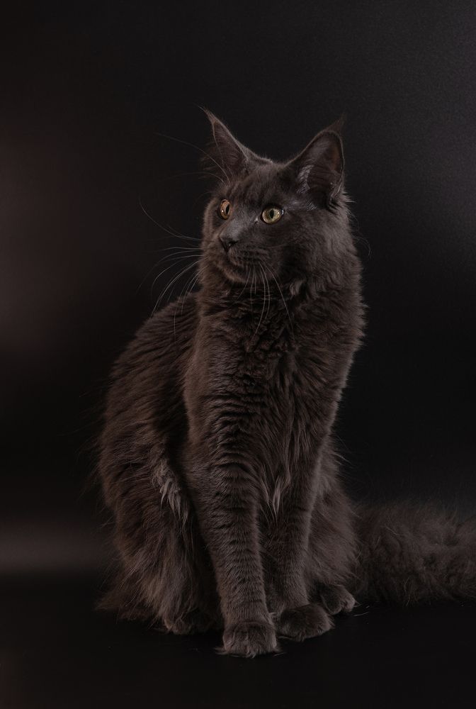 Photograph by Дарья Белых