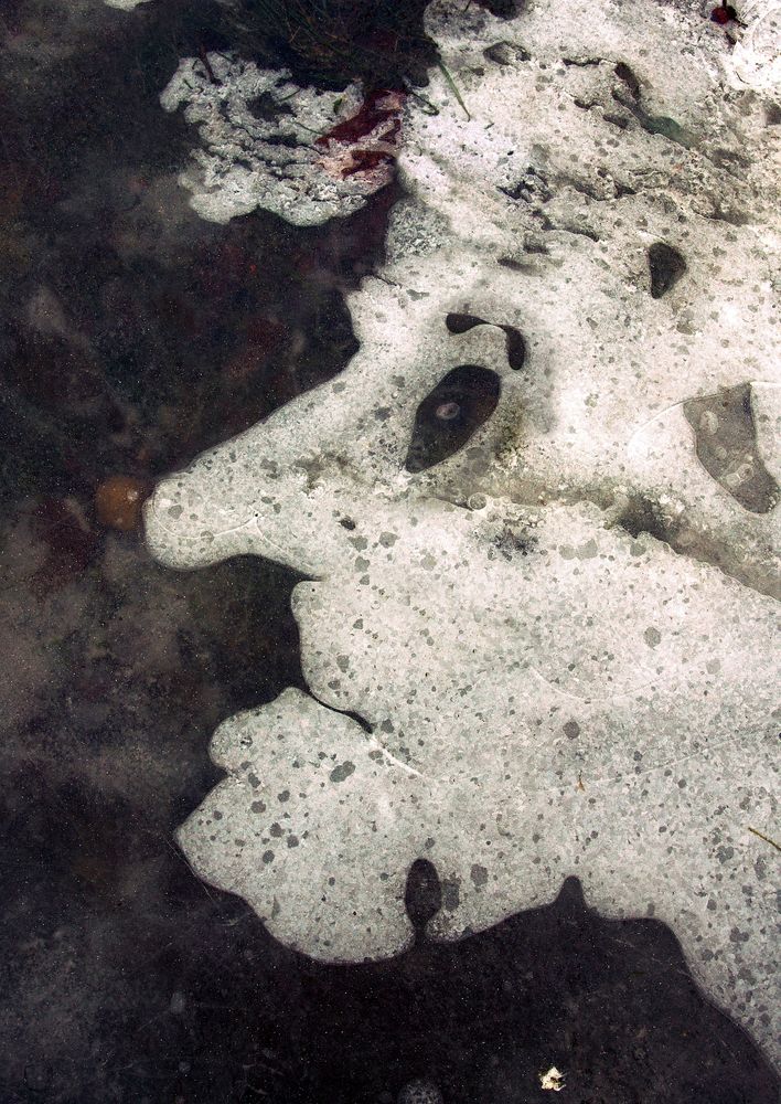 Photograph by Илья Илья