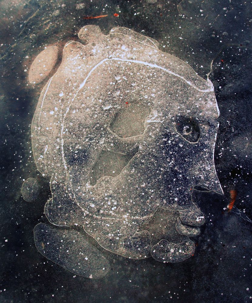 Photograph by Илья Илья