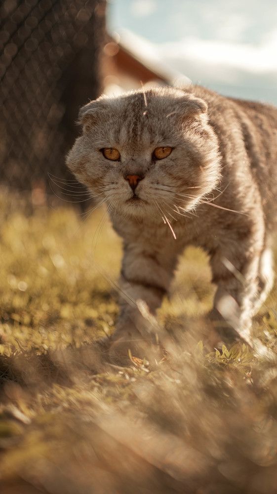 Photograph by Виолетта Алексеевна