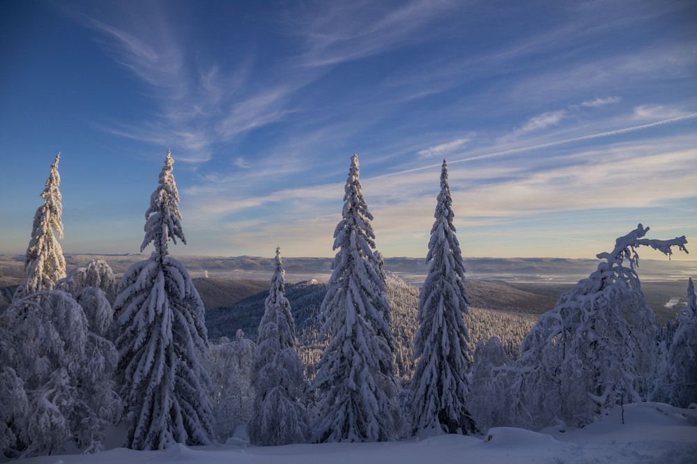 Photograph by Елена Перминова