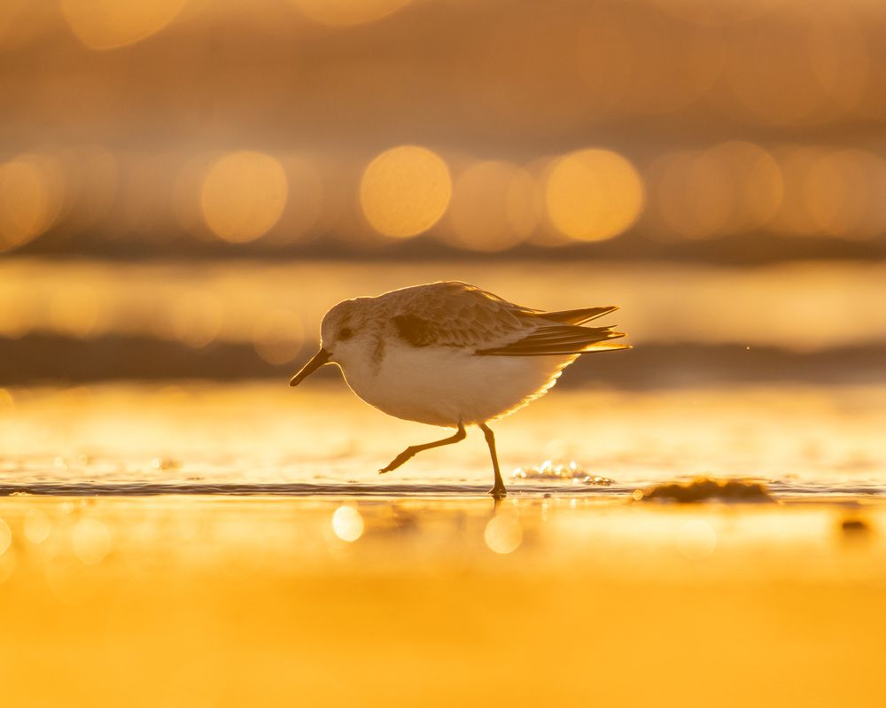 Photograph by prasanth muralidharan