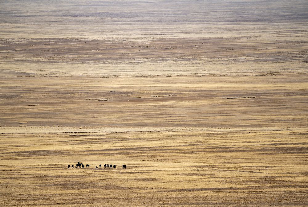 Photograph by Jaap van der Kooij