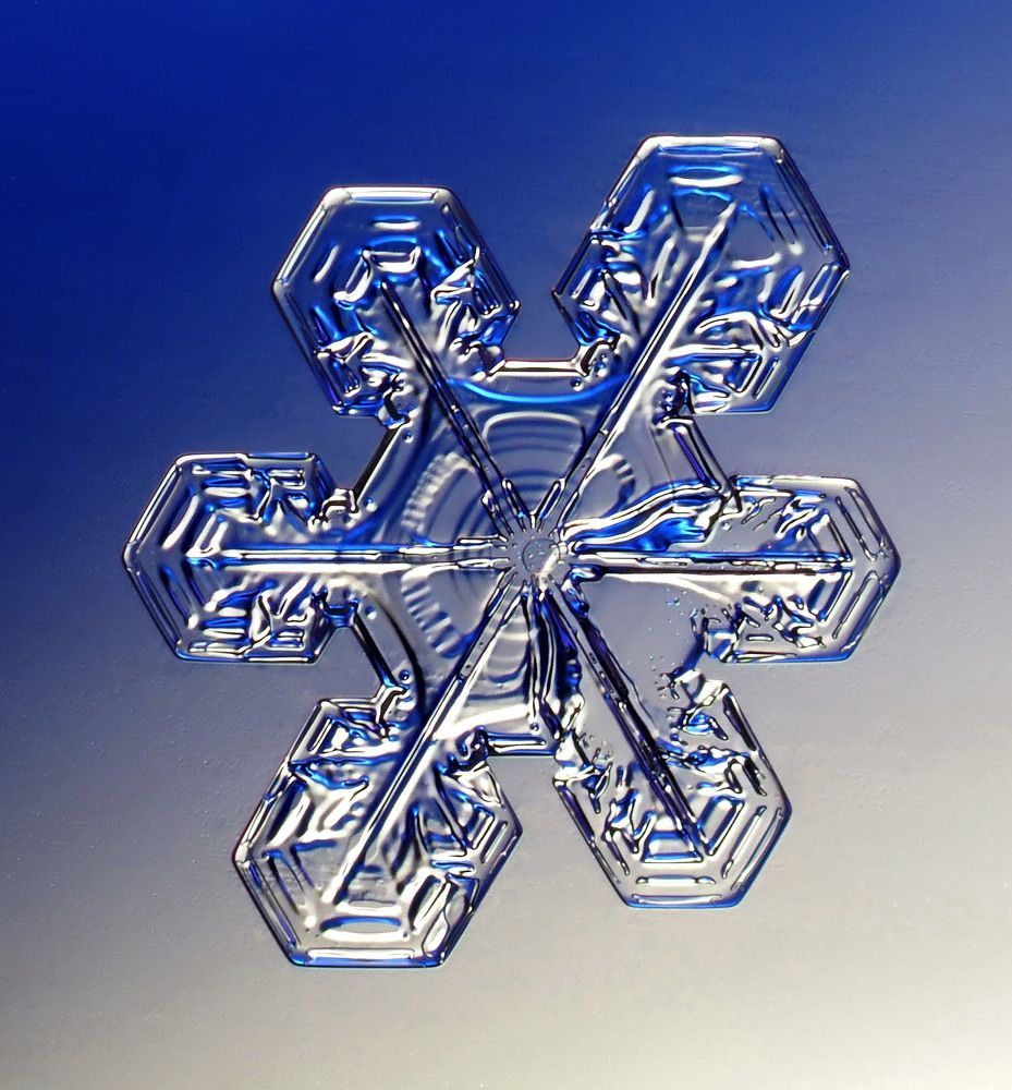 Снежинка февраля