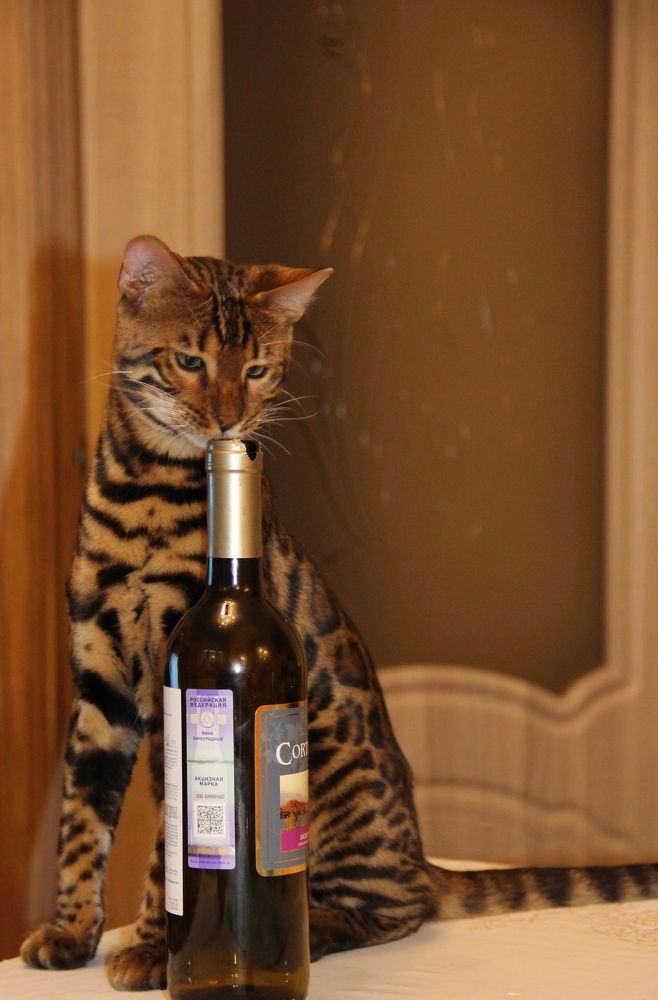 Photograph by Ольга