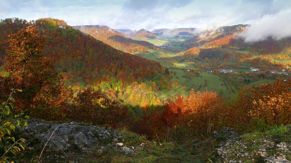 Photograph by Jan Haman