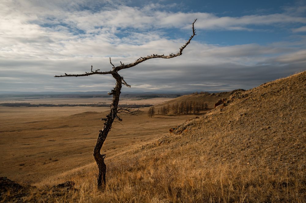 Иероглиф Калкан-Таш
