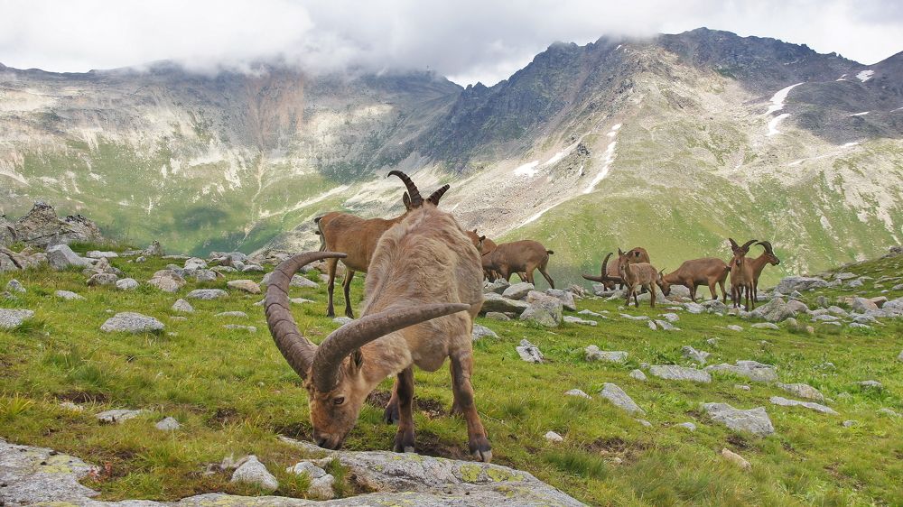 Кавказские туры