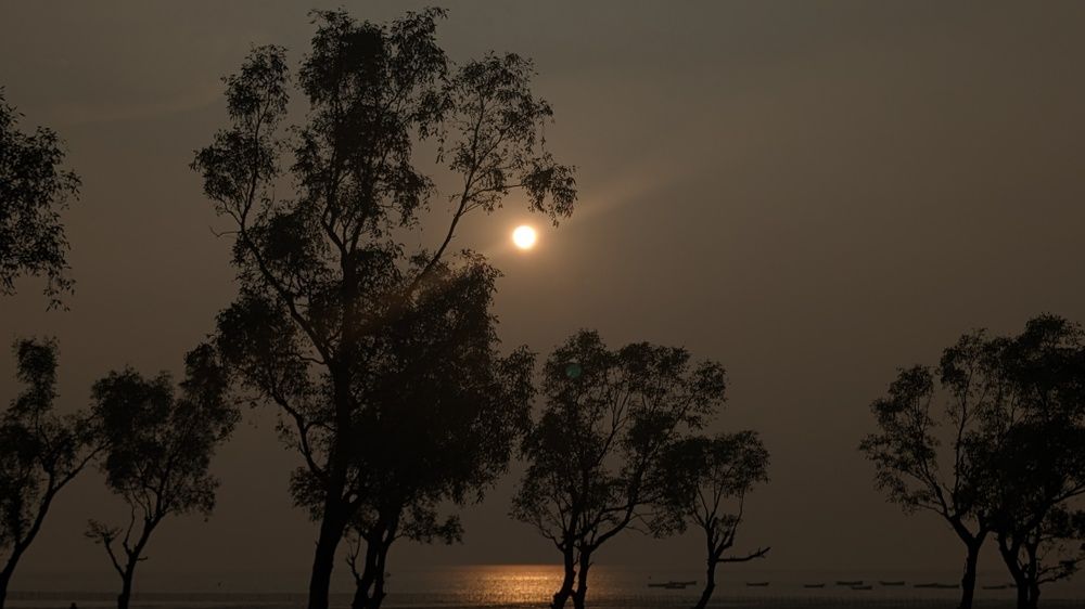 Sun and the sea.