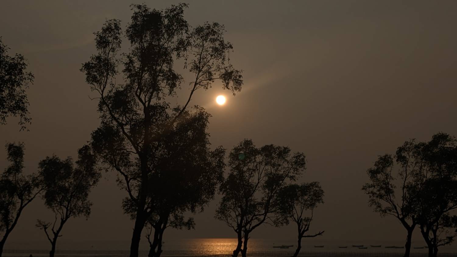 Sun and the sea.