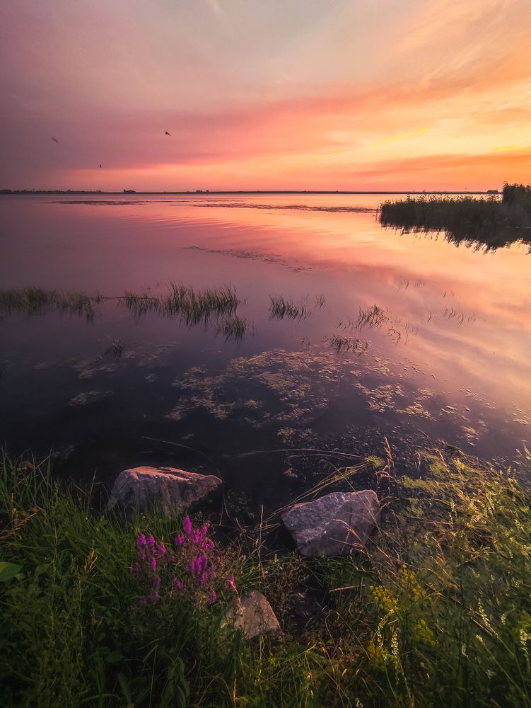 Photograph by Илья Толстоноженко