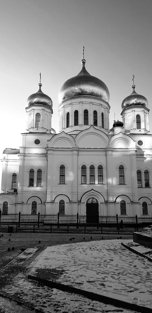 Фотография автора Ольга Мусина