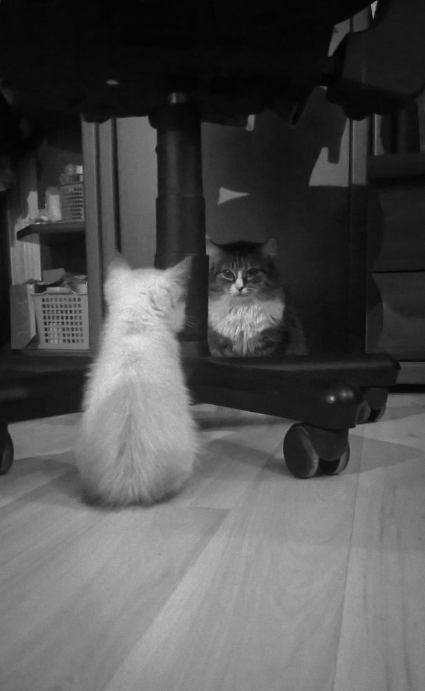 Photograph by Сергей Захаров