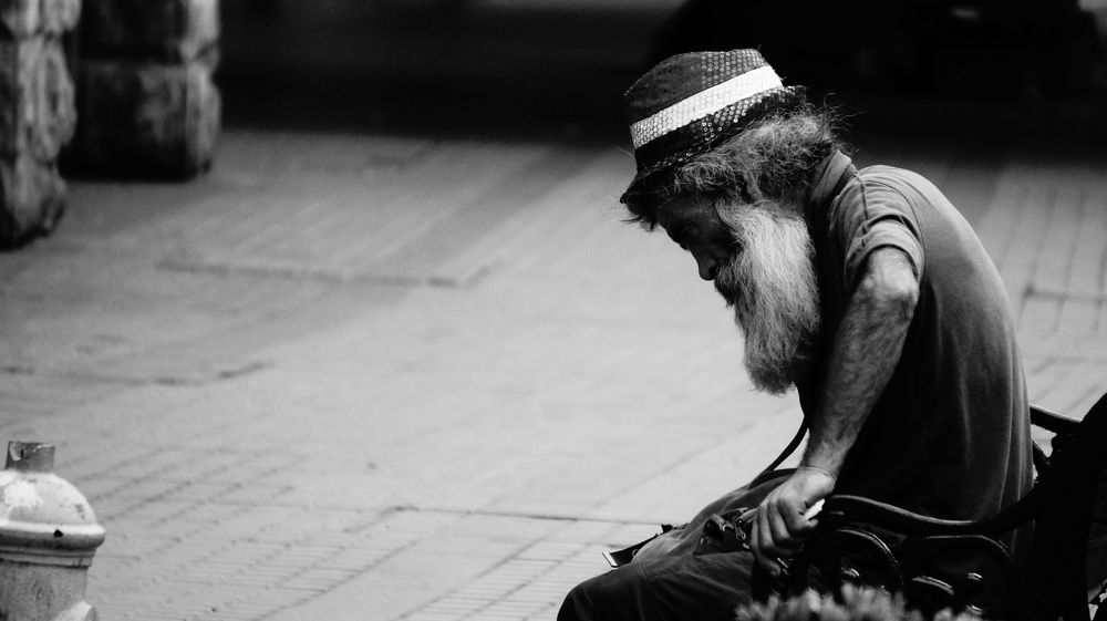 Photo #8796293