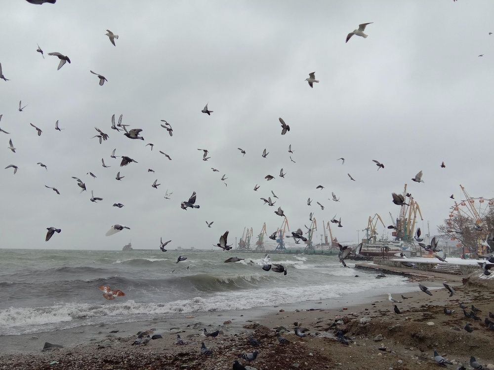 Зимний шторм в Феодосии.