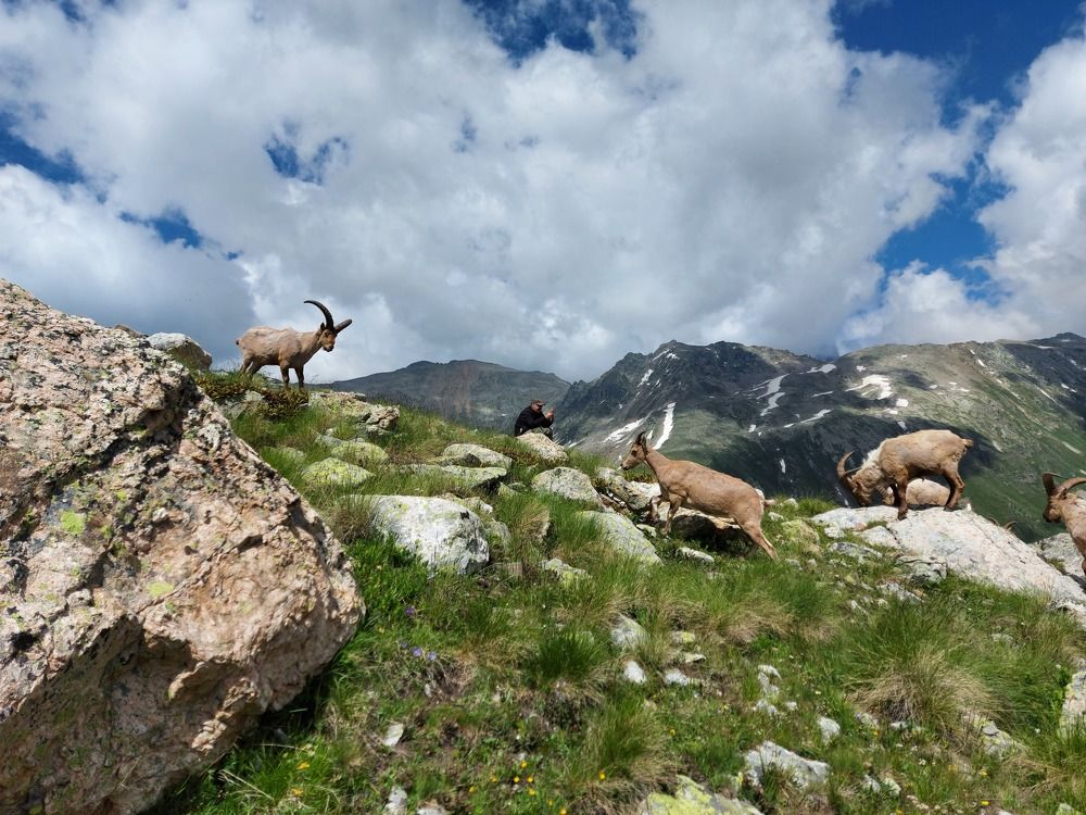 Кавказские туры