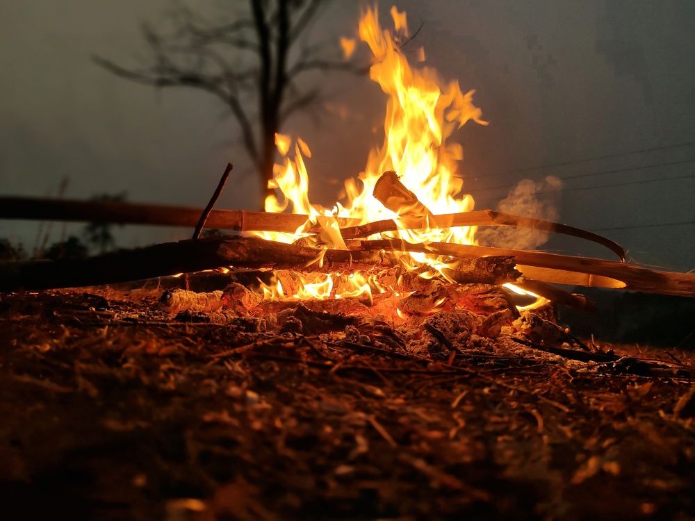 Photo #8796349