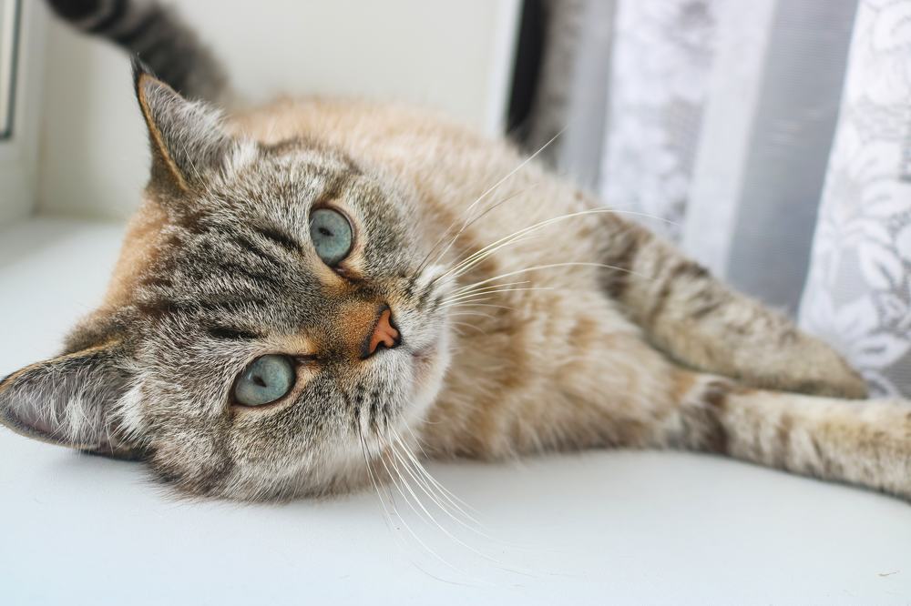 Photograph by Наталья Клячина