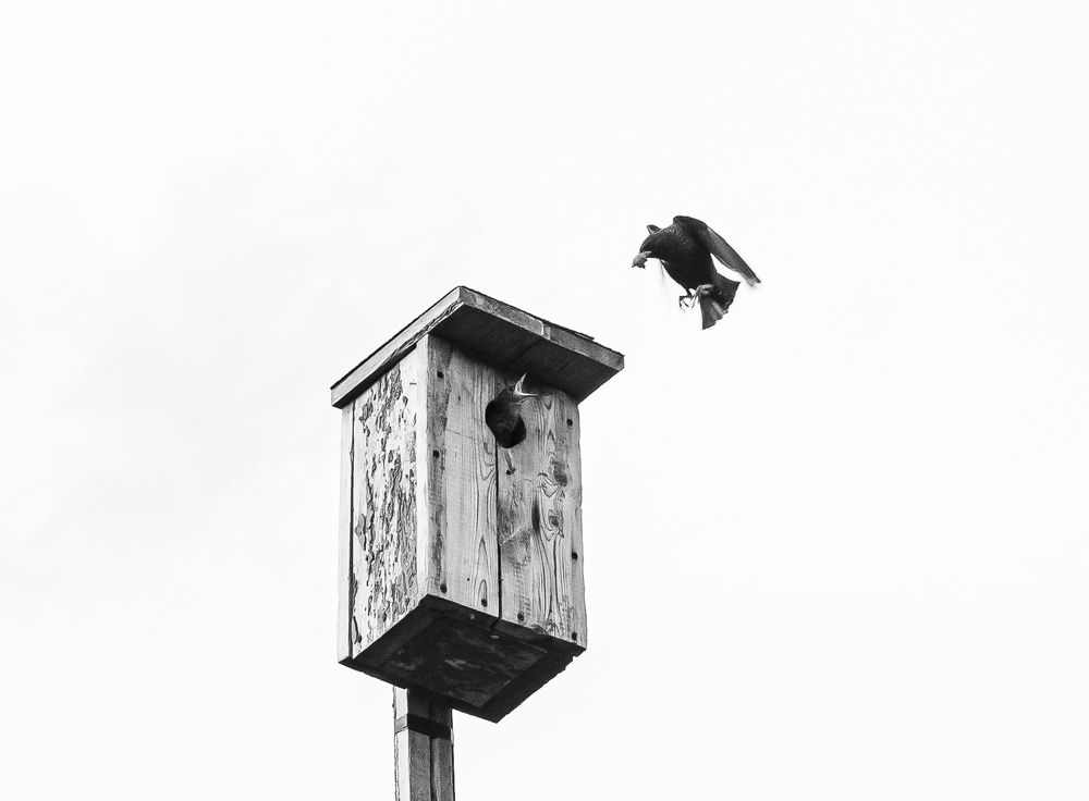 Photograph by Анатолий Мигов