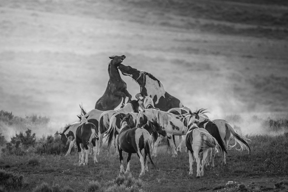 Photograph by Tony Douzenis