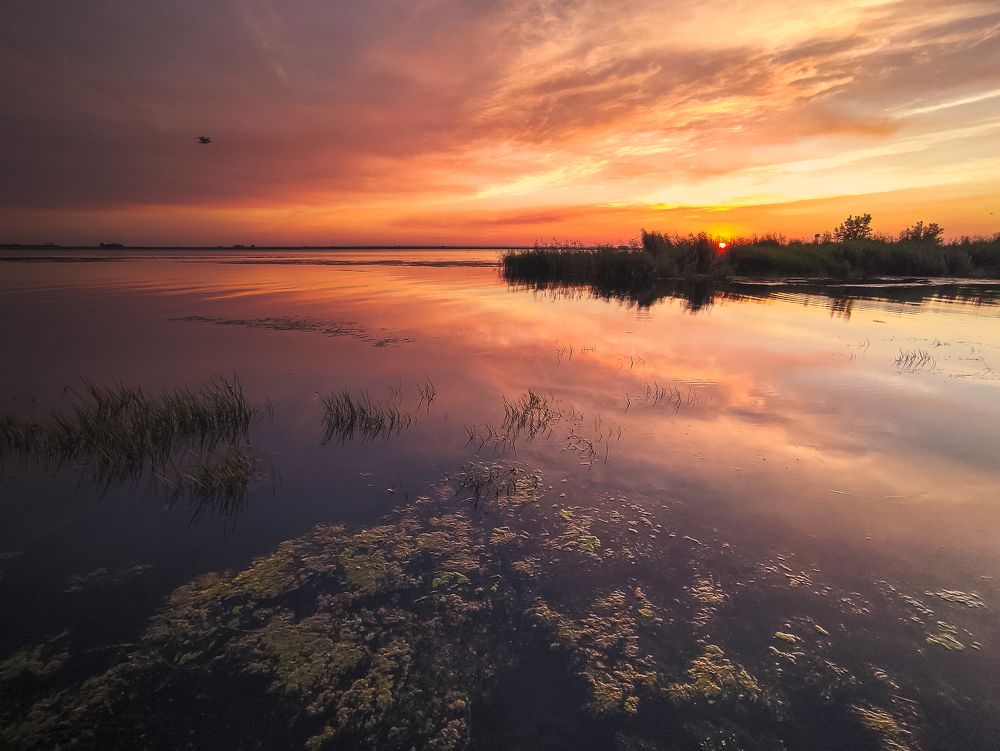 Photograph by Илья Толстоноженко