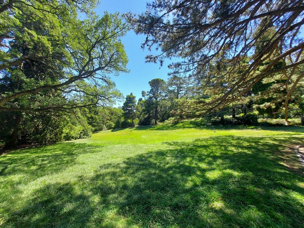 Photograph by Yuliya Durneva