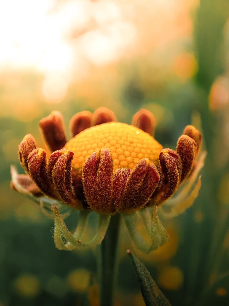 Photograph by Damir Sadekov