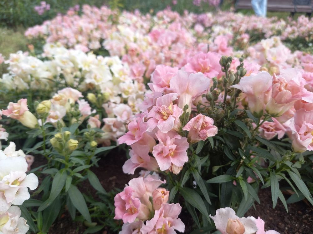 Photograph by Наталья Сергеевна Крылова