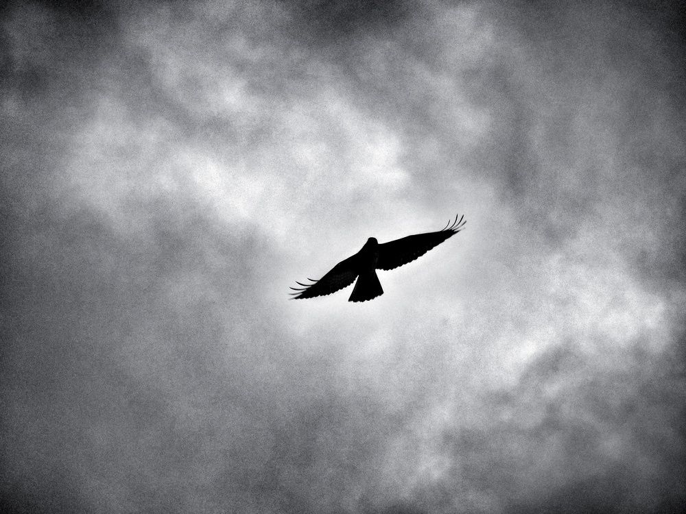 Photograph by Alexander Mishuris