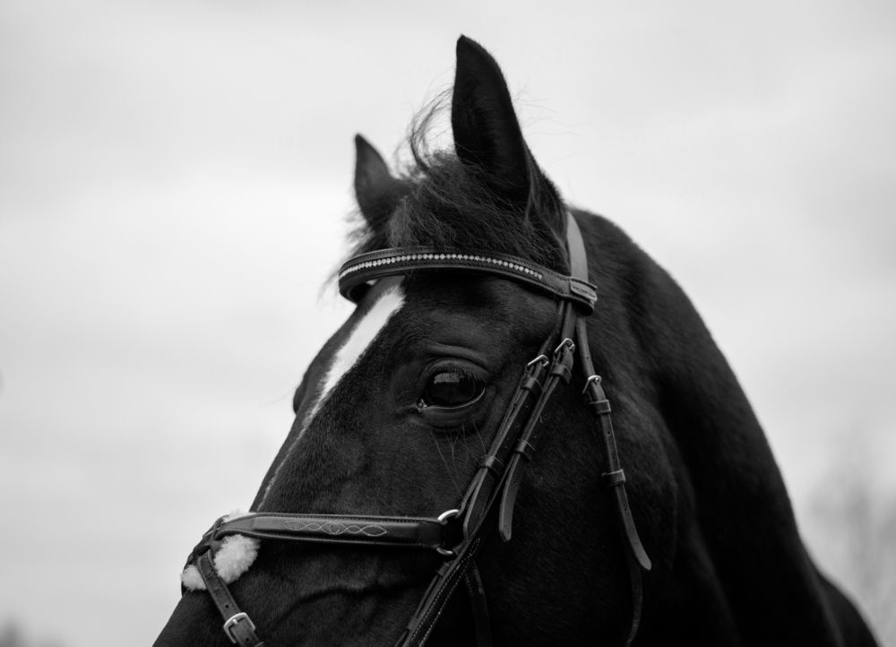 Photograph by Валентина